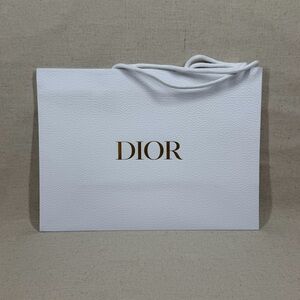 Dior shopping bag